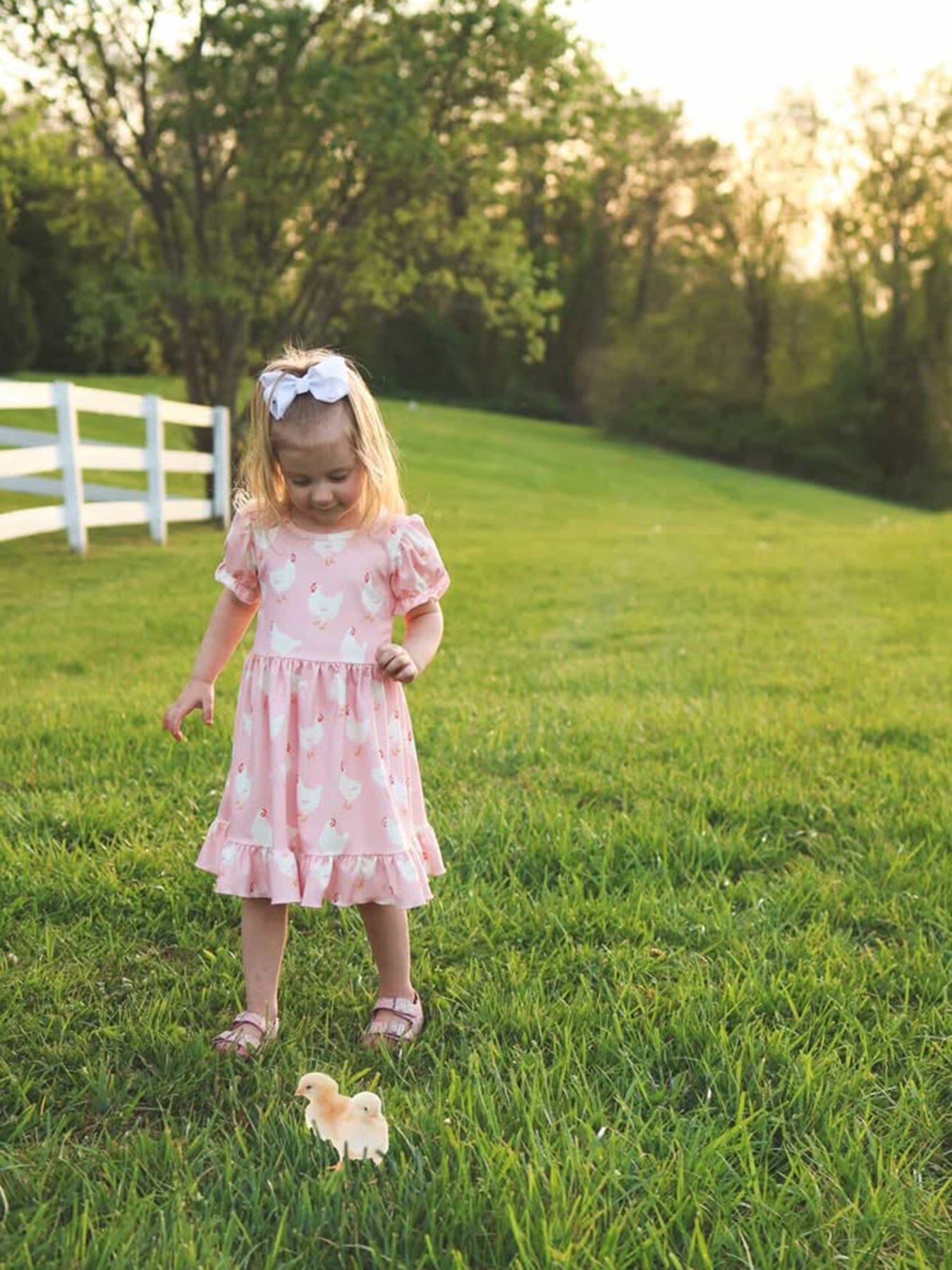 Farm Chicken Print Girls Ruffle Dress