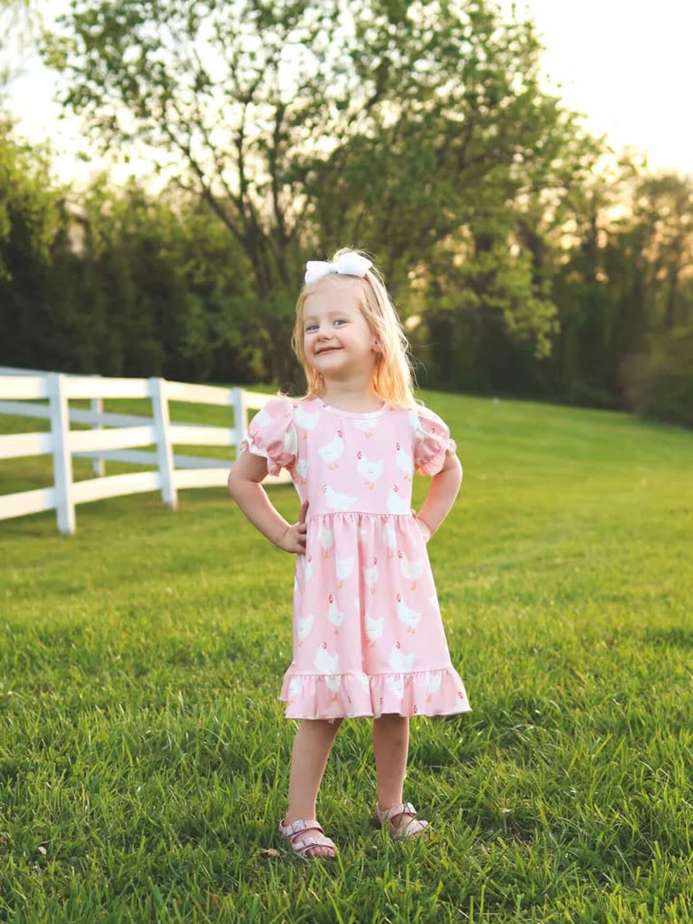 Farm Chicken Print Girls Ruffle Dress